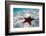 Starfish on beach-null-Framed Photographic Print