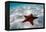 Starfish on beach-null-Framed Premier Image Canvas