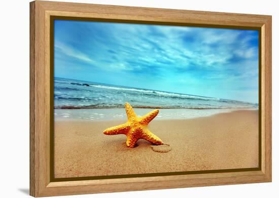 Starfish on the Beach-Michal Bednarek-Framed Premier Image Canvas