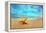 Starfish on the Beach-Michal Bednarek-Framed Premier Image Canvas