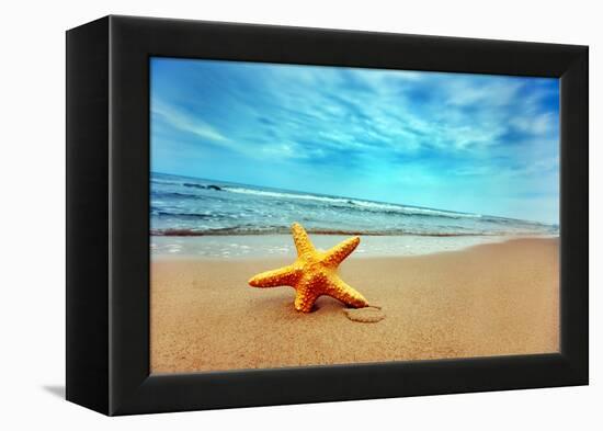 Starfish on the Beach-Michal Bednarek-Framed Premier Image Canvas