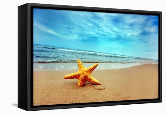 Starfish on the Beach-Michal Bednarek-Framed Premier Image Canvas