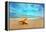 Starfish on the Beach-Michal Bednarek-Framed Premier Image Canvas