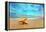 Starfish on the Beach-Michal Bednarek-Framed Premier Image Canvas