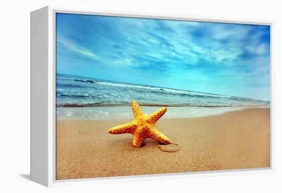 Starfish on the Beach-Michal Bednarek-Framed Premier Image Canvas