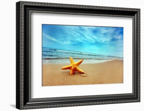 Starfish on the Beach-Michal Bednarek-Framed Photographic Print