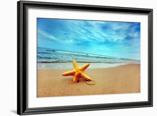 Starfish on the Beach-Michal Bednarek-Framed Photographic Print