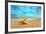 Starfish on the Beach-Michal Bednarek-Framed Photographic Print