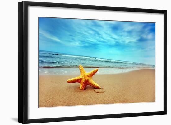 Starfish on the Beach-Michal Bednarek-Framed Photographic Print