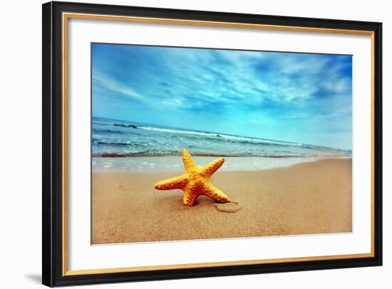 Starfish on the Beach-Michal Bednarek-Framed Photographic Print