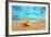 Starfish on the Beach-Michal Bednarek-Framed Photographic Print