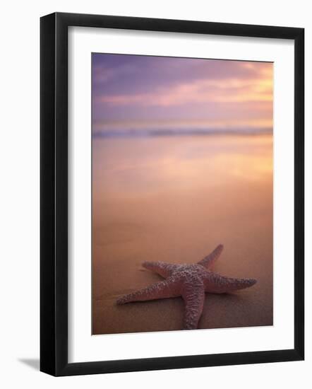 Starfish, Pigeon Pt, Tobago-Peter Adams-Framed Photographic Print