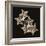 Starfish Sepia-Albert Koetsier-Framed Photographic Print
