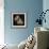 Starfish Sepia-Albert Koetsier-Framed Photographic Print displayed on a wall