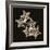 Starfish Sepia-Albert Koetsier-Framed Photographic Print