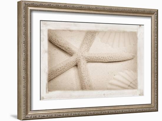 Starfish, Shells and Sand-Cora Niele-Framed Giclee Print