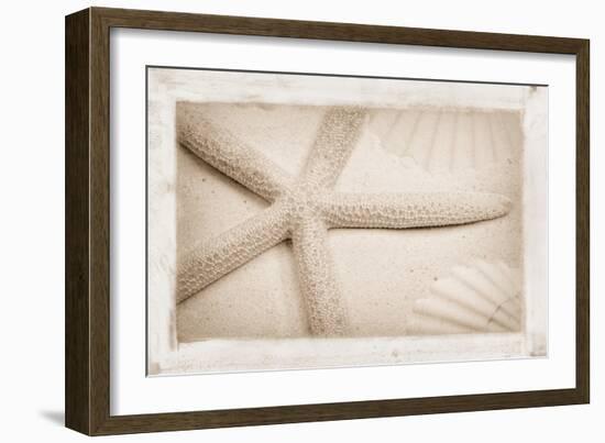 Starfish, Shells and Sand-Cora Niele-Framed Giclee Print