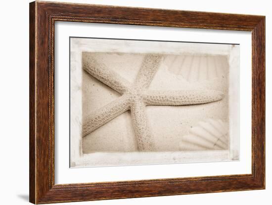 Starfish, Shells and Sand-Cora Niele-Framed Giclee Print