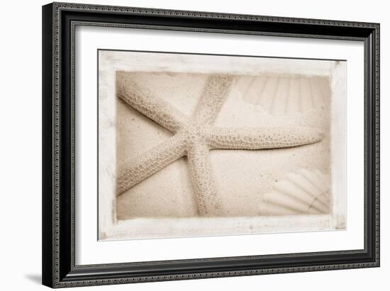 Starfish, Shells and Sand-Cora Niele-Framed Giclee Print