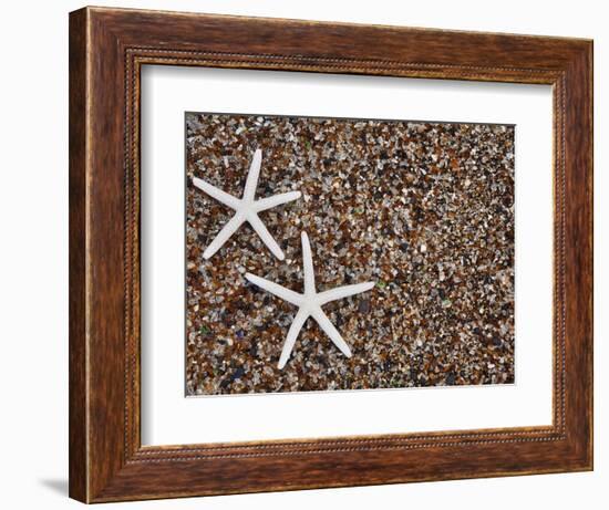 Starfish Skeletons, Kauai, Hawaii, USA-Dennis Flaherty-Framed Photographic Print