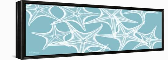 Starfish Teal 1-Albert Koetsier-Framed Stretched Canvas