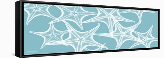 Starfish Teal 1-Albert Koetsier-Framed Stretched Canvas