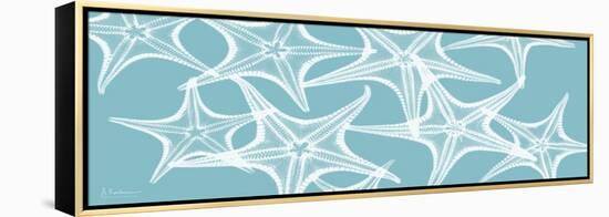 Starfish Teal 1-Albert Koetsier-Framed Stretched Canvas