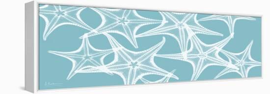 Starfish Teal 1-Albert Koetsier-Framed Stretched Canvas