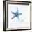 Starfish Tours Pattern-Kimberly Allen-Framed Art Print