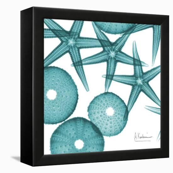 Starfish Trip 3-Albert Koetsier-Framed Stretched Canvas