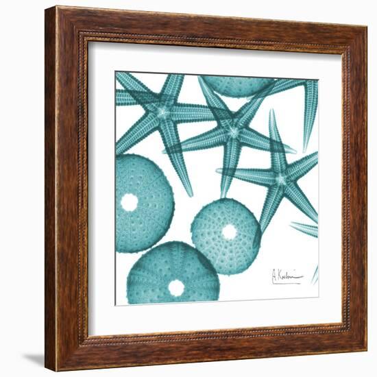 Starfish Trip 3-Albert Koetsier-Framed Art Print