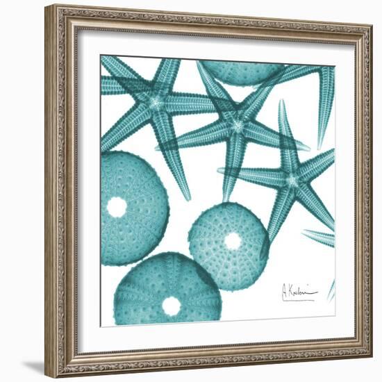 Starfish Trip 3-Albert Koetsier-Framed Art Print