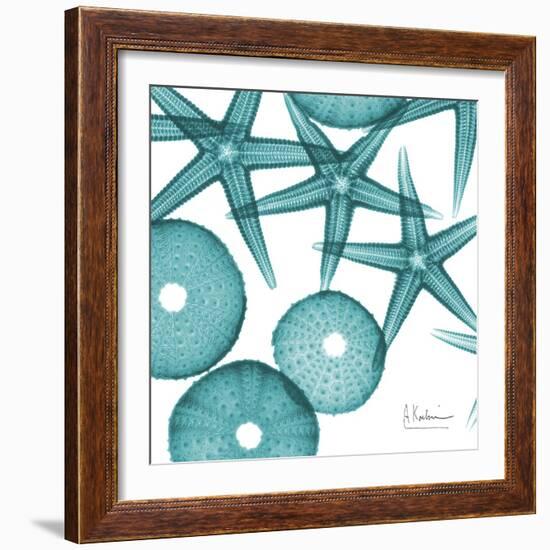 Starfish Trip 3-Albert Koetsier-Framed Art Print