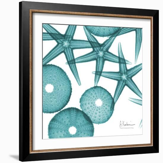 Starfish Trip 3-Albert Koetsier-Framed Art Print