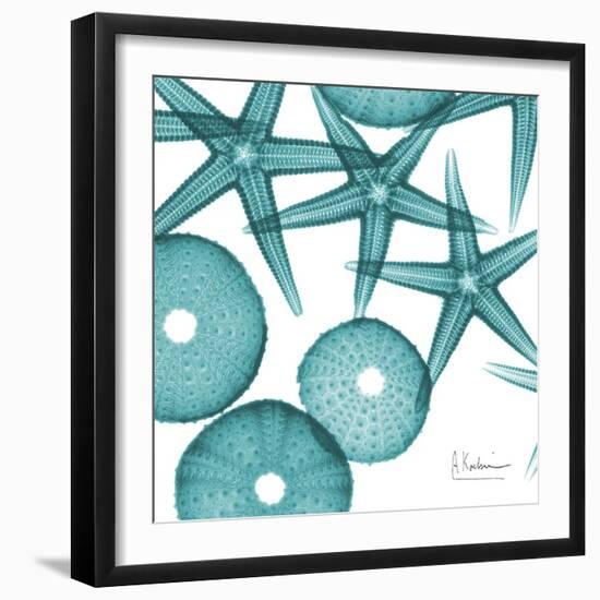 Starfish Trip 3-Albert Koetsier-Framed Art Print