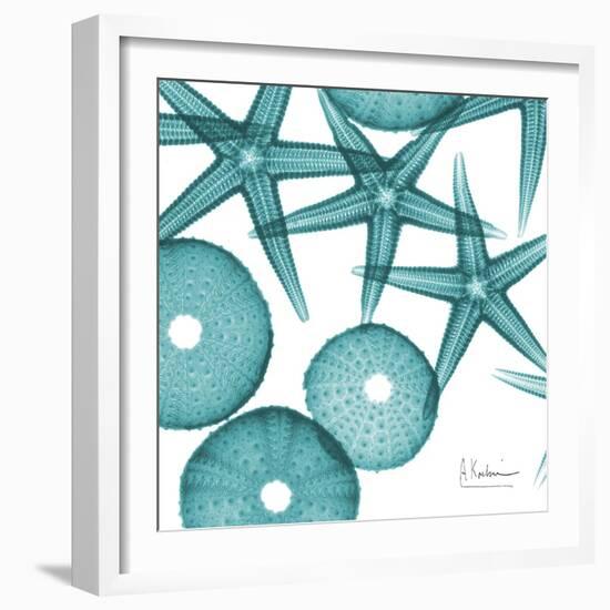 Starfish Trip 3-Albert Koetsier-Framed Art Print