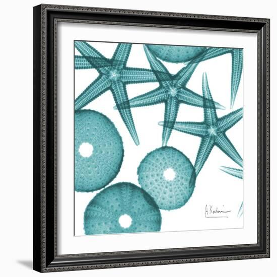 Starfish Trip 3-Albert Koetsier-Framed Art Print