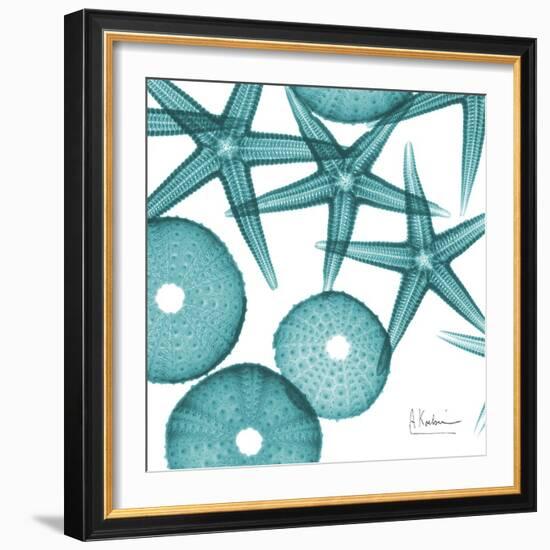 Starfish Trip 3-Albert Koetsier-Framed Art Print