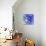 Starfish Universe-Tom Kelly-Premium Giclee Print displayed on a wall