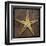 Starfish-John Golden-Framed Art Print