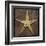 Starfish-John Golden-Framed Art Print