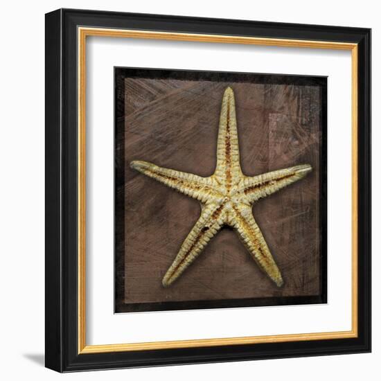 Starfish-John Golden-Framed Art Print