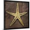 Starfish-John W^ Golden-Mounted Art Print