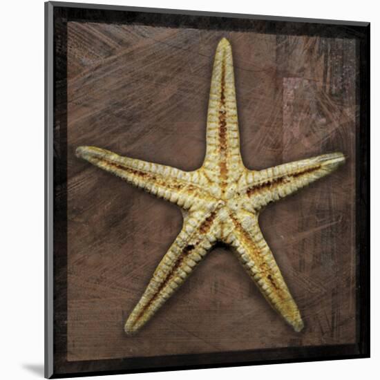 Starfish-John W^ Golden-Mounted Art Print