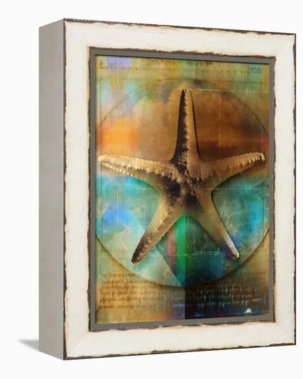 Starfish-Colin Anderson-Framed Premier Image Canvas