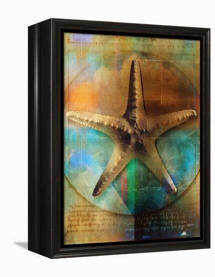 Starfish-Colin Anderson-Framed Premier Image Canvas