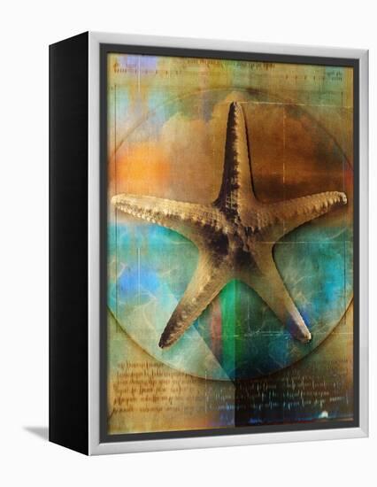 Starfish-Colin Anderson-Framed Premier Image Canvas