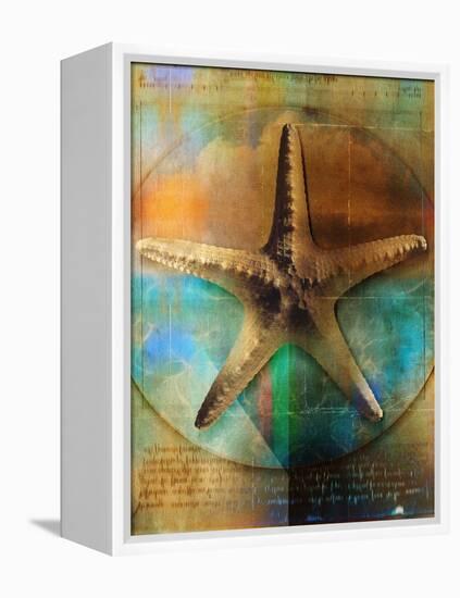 Starfish-Colin Anderson-Framed Premier Image Canvas