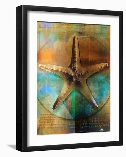 Starfish-Colin Anderson-Framed Photographic Print