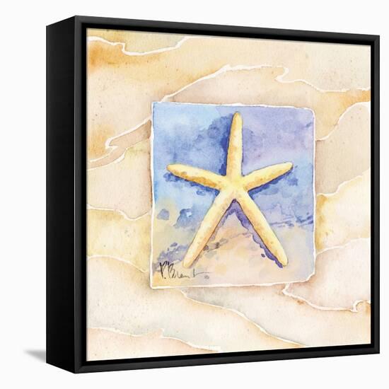 Starfish-Paul Brent-Framed Stretched Canvas